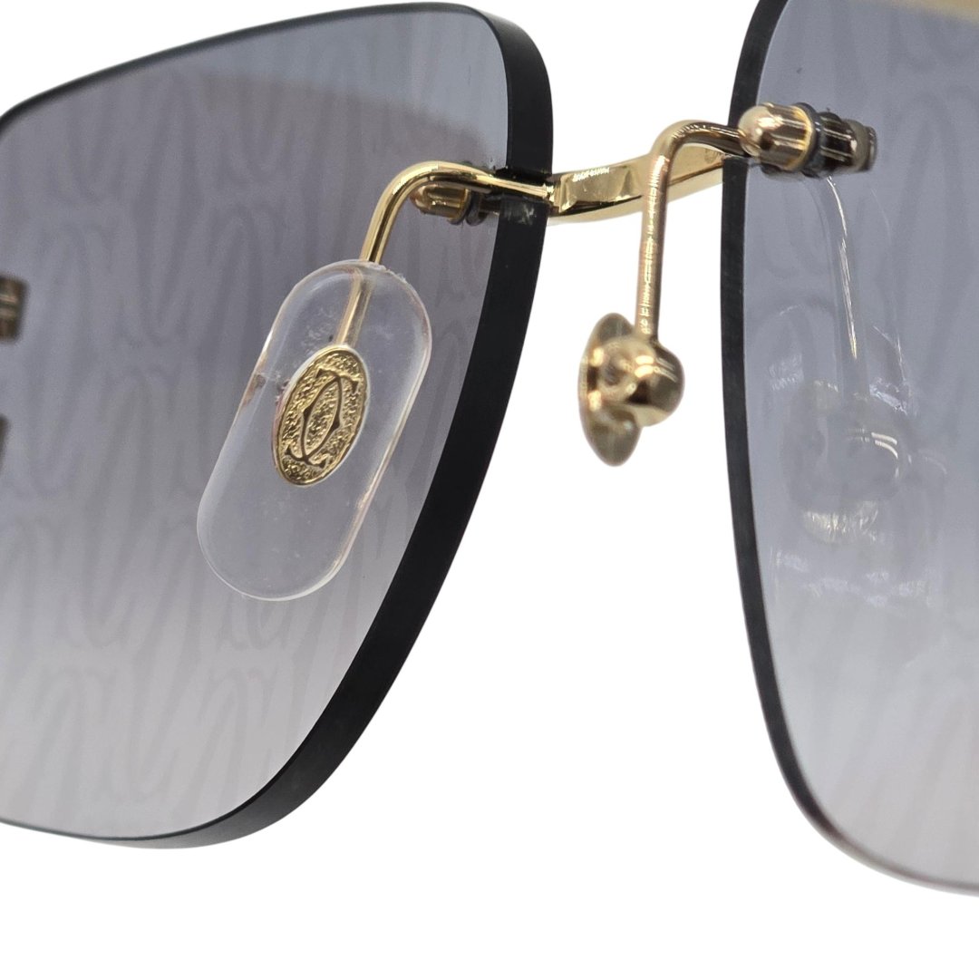 Lunettes piccadilly ct0330s - 007