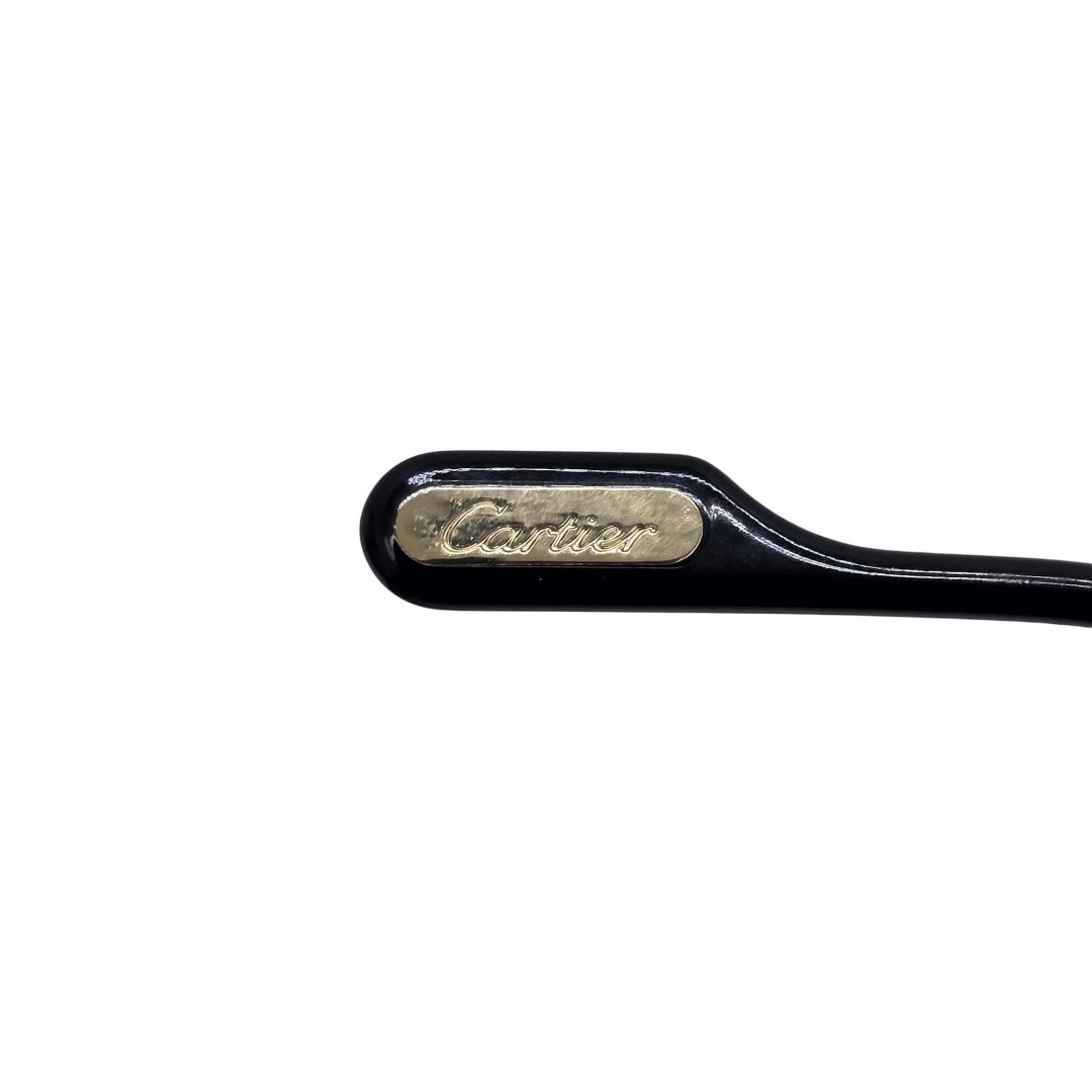 Lunettes piccadilly ct0330s - 007