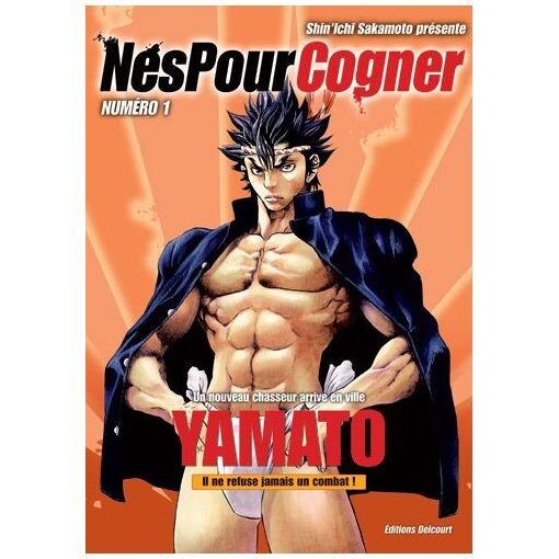 Nes pour cogner - tome 1