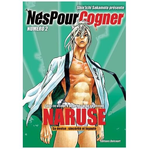 Nes pour cogner - tome 2