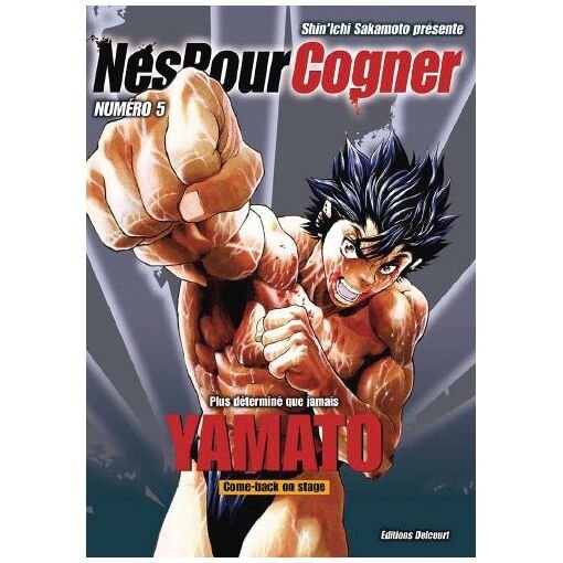 Nes pour cogner - tome 5