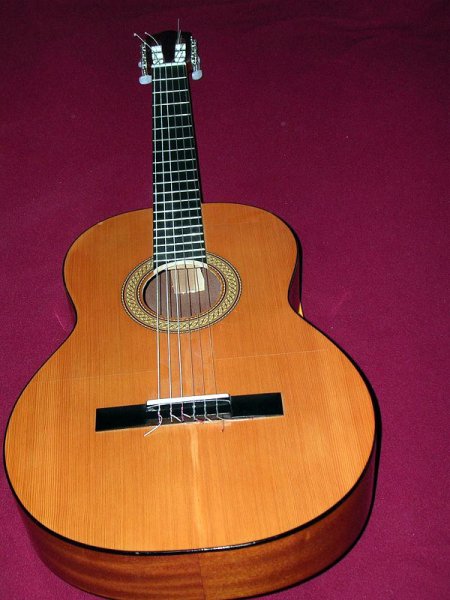 Guitare classique pm1