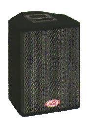 Enceinte evolution 12