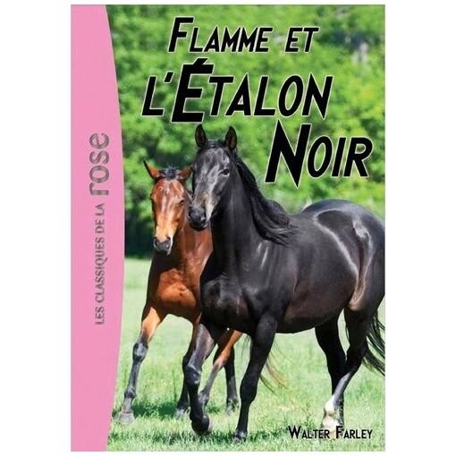 Livre l'etalon noir - tome 17 - flamme et l'etalon noir