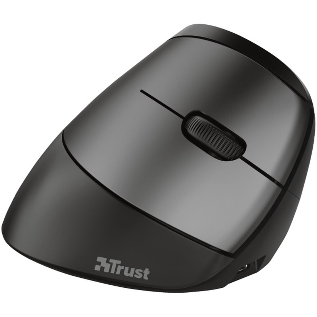 Souris bayo