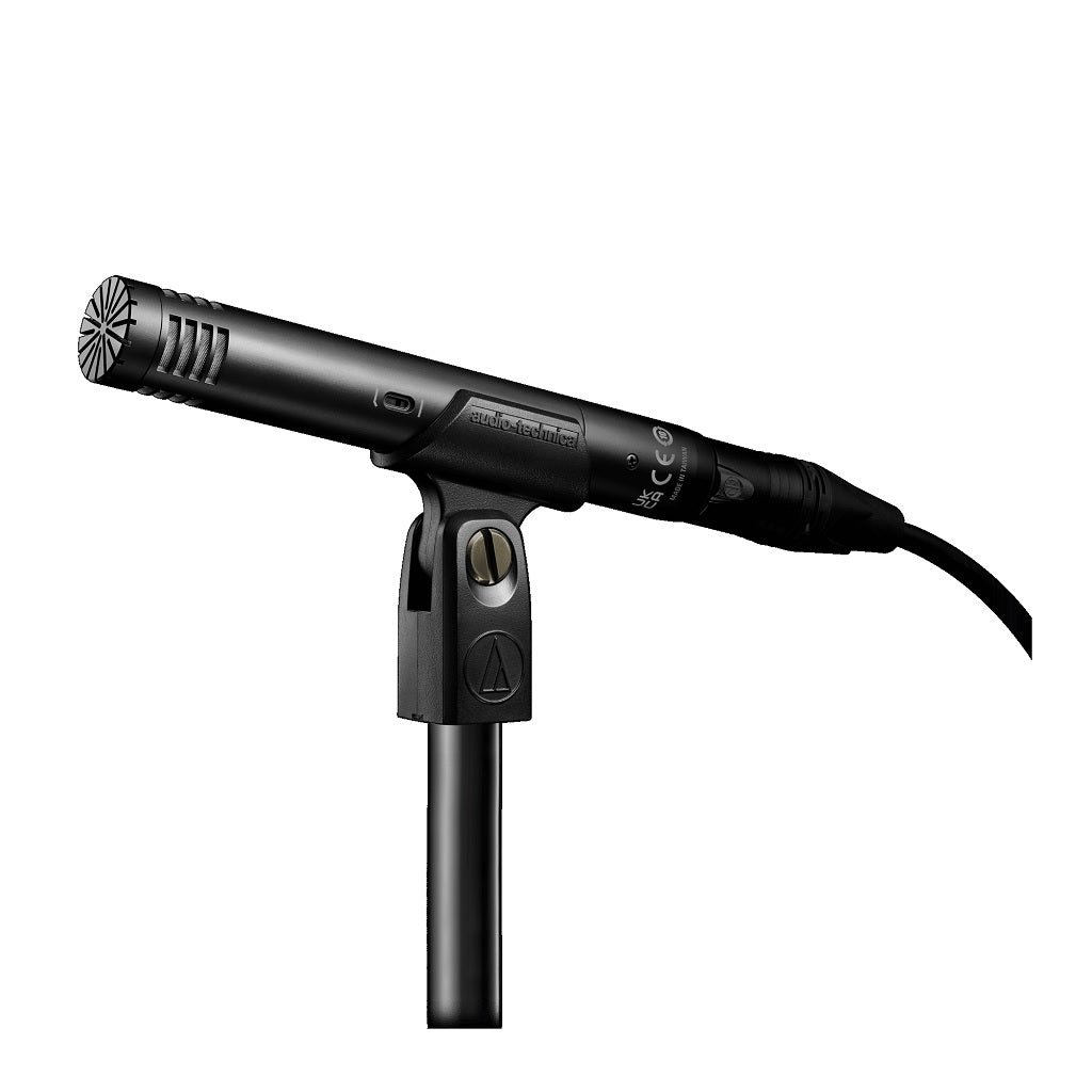 Microphone at2031