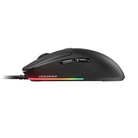 Souris filaire combat